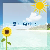 画像244