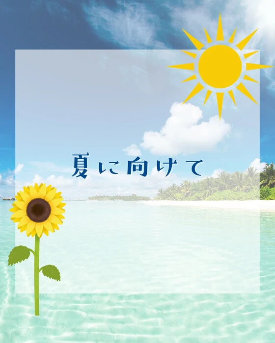 画像244