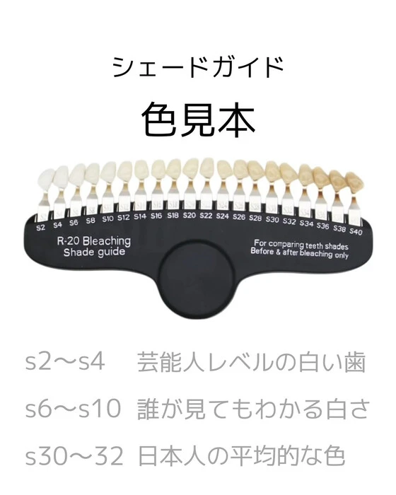 画像248