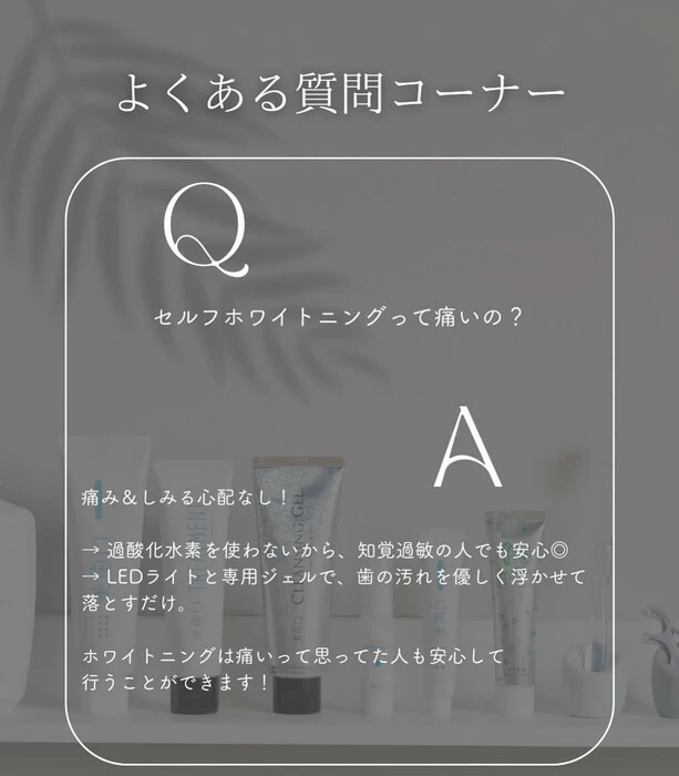 画像289