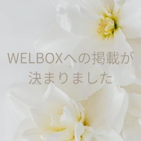 画像337