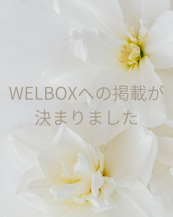 画像337