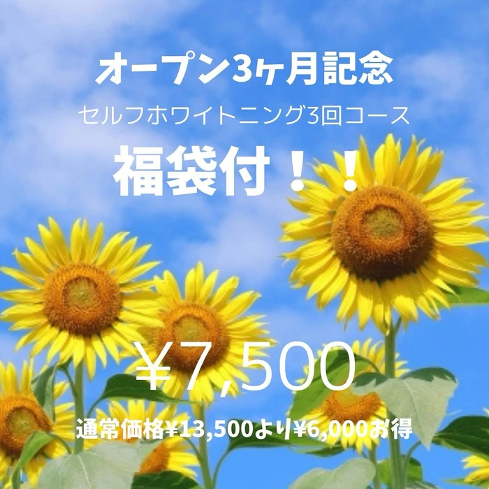 画像366