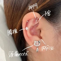 画像428